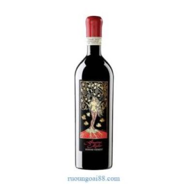 Rượu Vang Amarone Mater – Domini Veneti