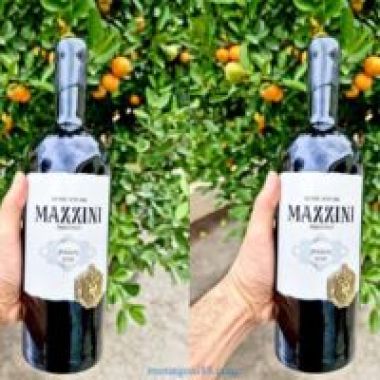 Rượu Vang Mazzini Primitivo 17 độ