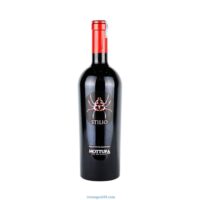 Rượu Vang Mottura Stilio Primitivo – Vang Con Nhện