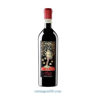 Rượu Vang Amarone Mater – Domini Veneti