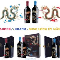 Vang Ý Urano Attanasio 19 độ Primitivo Appassimento